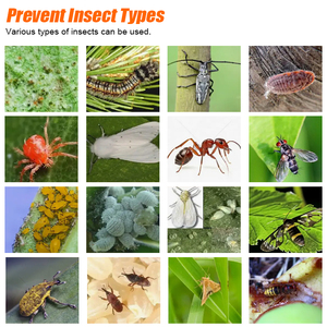 EONBON Trappole Adesive Personalizzate a Doppia Faccia per Insetti e Formiche, Barriera per Tronchi d'Albero, Nastro Adesivo per Parassiti del Giardino - Product Image 5