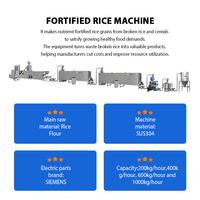 Machine industrielle entièrement automatique à double extrudeur à vis pour la réutilisation du riz cassé, en acier inoxydable, haute efficacité, pour la production de riz fortifié