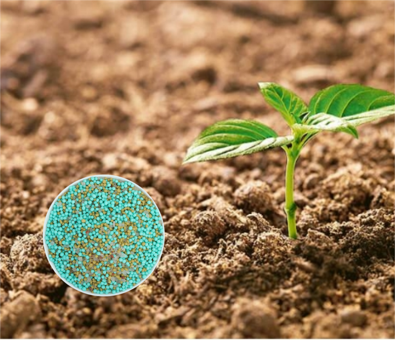 Agriculture Grade Chemical Green Granule 10