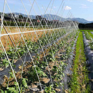 High Quality Fiberglass Pole Arched <b>Shed</b> Greenhouse Stand Fiberglass Greenhouse Pole - Product Image 6