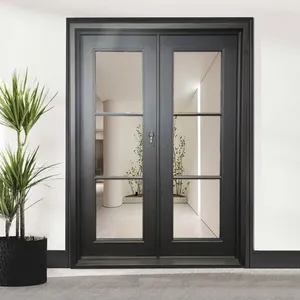 أبواب فرنسية مزدوجة أمامية سوداء من الفولاذ المقاوم للصدأ الزجاجي الحديدي الحديث