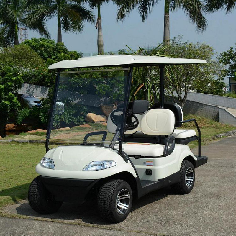 Lingtu電気ゴルフカート5kwクラシック電気自動車ゴルフカート2人