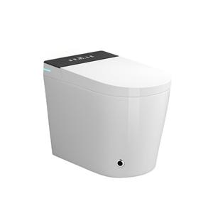 Inodoro con Silla PLMR TY501 <span class=keywords><strong>para</strong></span> Dormitorio o Sala de Estar, Unidad de Inodoro de Cerámica de Una Pieza con Doble Descarga Automática - Product Image 1