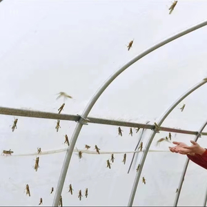 62gsm châu chấu chăn nuôi chuyên nghiệp nhựa Net 40 lưới dày bảo vệ Net - Product Image 1