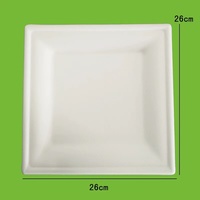 Assiettes jetables en bagasse de canne à sucre biodégradables et compostables de 10x10 pouces en gros pour les vendeurs de food trucks