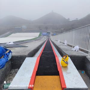 पेशेवर जादू कालीन कन्वेयर बेल्ट सर्दियों स्की कन्वेयर बेल्ट सतह लिफ्ट सिस्टम स्की रिसॉर्ट शुरुआती के लिए - Product Image 4