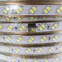 Bande lumineuse LED étanche IP68 à double rangée 5730, 100 mètres, haute luminosité, 110 V/220 V