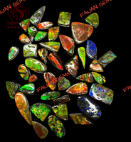 Ammolites naturelles, pierres précieuses brutes, cabochons de formes variées, marque FAIJAN GEMS, 1 pièce MOQ, haute qualité, non traitées, tiers