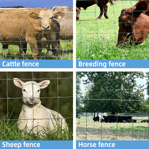 Srx 4ft 6ft 8ft 10ft giá rẻ dê cừu chăn nuôi trang trại dây lưới hàng rào bản lề Doanh ngựa gia súc trang trại lĩnh vực hàng rào để bán - Product Image 6
