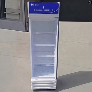 Réfrigérateur Commercial Vertical OEM 288L à Porte Unique pour Bar à Glace, Bières Red Bull et Boissons – <span class=keywords><strong>Prix</strong></span> Usine - Product Image 5