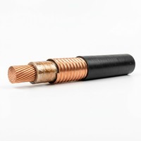 Kabel Listrik Berisolasi Mineral Multi-Core Lantian RTTVZ dengan Selubung Tembaga dan Selubung Luar PVC 0.6/1kV untuk Pasokan Daya Bangunan