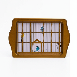 Bandeja de madera con ilustración de jaula de pájaros Vintage de 160x250mm con pájaros de colores, bandeja de Metal Rectangular, mango, patrón ovalado - Product Image 2