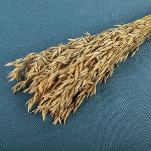 Decoración de Bodas al por Mayor, Arreglos de Flores Secas, Flores de Avena Secas Naturales Preservadas para Ramos de Flores para el Hogar, Decoración de Bodas - Product Image 2