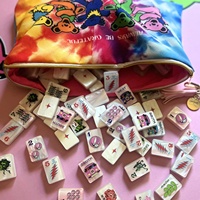 Nouveau produit 2026 : Ensemble de Mahjong de luxe en acrylique de 160 pièces, style américain moderne, personnalisé, rose perle