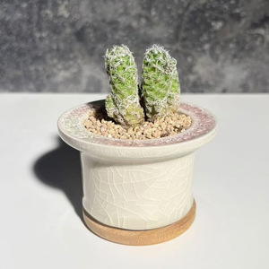 Pot de fleurs en céramique minimaliste et respirant, finition craquelée, pour plantes vertes, cactus, petit plateau de bonsaï de bureau, transfrontalier - Product Image 2
