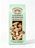 Boîtes à champignons personnalisées imprimées, fabriquées en carton de qualité supérieure, avec logo