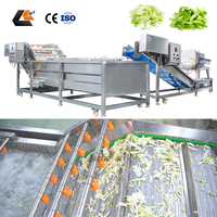 Groentesalademachine 50-500 kg/uur, salade snij- en dobbelmachine, salade wasmachine, semi-automatische salade productielijn
