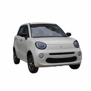 Coches chinos 2025 precio barato coche familiar coche eléctrico puro <span class=keywords><strong>Mini</strong></span> vehículos eléctricos de 4 ruedas para adultos - Product Image 1