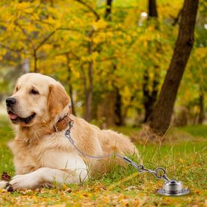 Anclaje de Jardín para Perros, Giratorio 360°, Portátil, Resistente, Plateado, para Viajes al Aire Libre, con Cable de 30 pies, Personalizado de Fábrica - Product Image 2