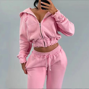 Clothing Manufacturer Custom Y2k Hoodie and Jogger <strong>Set</strong> Woman Distressed <strong>Embroidery</strong> Track Suit Cropped Women Sweatsuit <strong>Set</strong> - Product Image 5