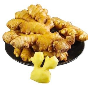 <span class=keywords><strong>2025</strong></span> Tốt Nhất Bán Giá Thấp Xuất Khẩu Chất Lượng Cao Hữu Cơ Gừng Chất Lượng Cao Gừng Tươi Trung Quốc Gừng Bán Buôn - Product Image 1