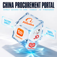 Transitaire Aérien Chine-USA Canada, Agent Taobao 1688, Alibaba Express, Dropshipping DDP Mexique, Agent d'Achat, Sourcing