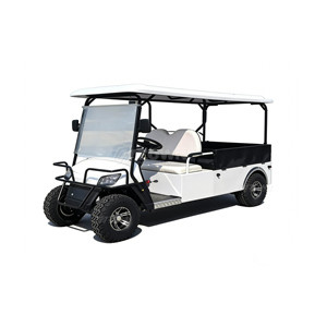 Carrito de Golf Personalizado de 2 Plazas, Precio de Fábrica, Tipo Eléctrico, Carrito de Golf Comercial de Alquiler - Product Image 1