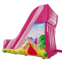 Glissière de princesse gonflable rose populaire personnalisée