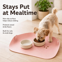 Tapis d'alimentation pour animaux de compagnie en cuir PU imperméable, tapis pour gamelles de chat et de chien, facile à nettoyer, anti-déversement, pour chiens et chats de petite et moyenne taille