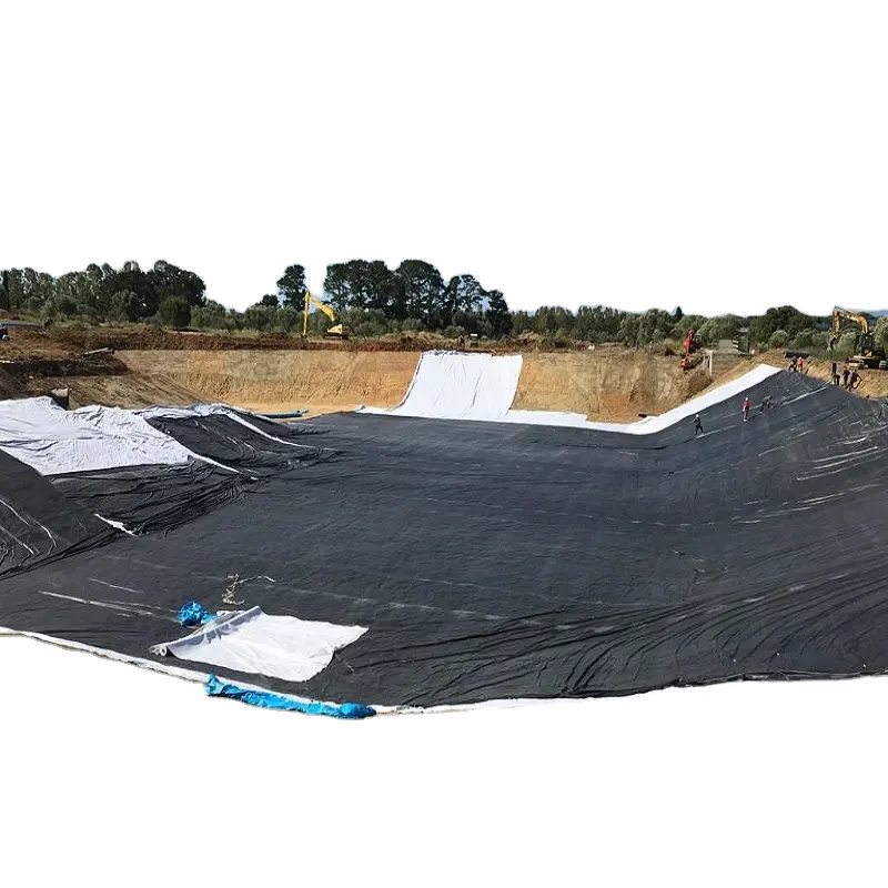 Geomembrane Plastic Artificial Lake Tank Dam Lining Swim Pool Fish Pond Farm Liner HDPE Geomembrane