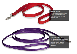 Kingtale <span class=keywords><strong>Nylon</strong></span> Lead Hunde leine, starke und langlebige Leine mit einfach zu verwendendem Kragen haken für Haustiere Solides nachhaltiges Nylons eil - Product Image 5