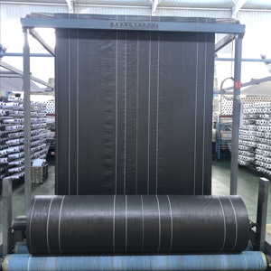 Rotoli/Bobine di Tessuto PP Intrecciato per <span class=keywords><strong>Sacchi</strong></span> Super Grandi / <span class=keywords><strong>Big</strong></span> <span class=keywords><strong>Bag</strong></span> per Imballaggio di Sabbia e Fertilizzanti - Product Image 5