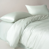 Ensemble de literie 4 pièces en fibre de bambou, antibactérien, couleur unie, housse de couette de luxe, ensemble de draps, taies d'oreiller, ensemble de literie
