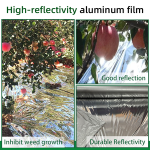 <span class=keywords><strong>Film</strong></span> de Paillage <span class=keywords><strong>Agricole</strong></span> Biodégradable en Plastique <span class=keywords><strong>Noir</strong></span> 20 Microns Anti-Mauvaises Herbes avec Trous, Bâche de Sol en PE pour Serre - Product Image 3