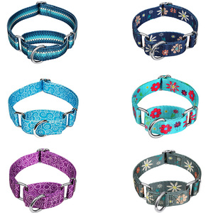 Collar ajustable de entrenamiento para perros, correa de metal con hebilla personalizada a granel - Product Image 2