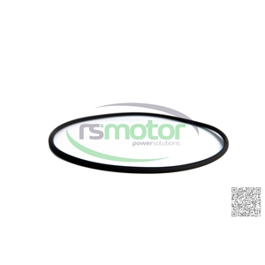OEM O-seal para MWM para motor de gas natural Nuevas piezas de maquinaria - Product Image 2