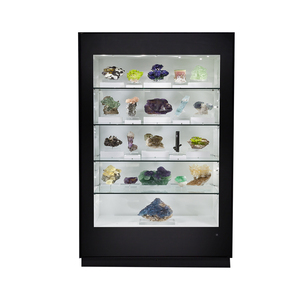 حافظة عرض أنيقة برؤية كاملة مع عرض حجري قيّم للعرض المعدني - Product Image 1