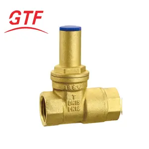 Best Price Key Lock Brass Female Thread Gate Valve Lockable Check Valve For High Temperature Water General Application