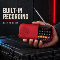 Tragbarer Plastik 5.0 Mini-Lautsprecher mit Digitalanzeige USB & TF Wiedergabe Wiederaufladbarer Akku FM-Radio & Powerbank