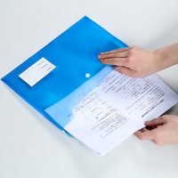 Carpeta de Archivo Transparente XR Tamaño A4, 18C, de Plástico PP, Sobres para Documentos, Carpeta de Plástico y Sobres de Polipropileno