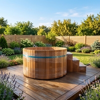 Cabine de sauna électrique extérieure moderne en bois massif de qualité supérieure avec bain de glace pour villa