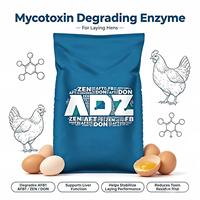 Enzyme dégradante de mycotoxines en gros – Additif alimentaire pour soutenir la santé du foie et de l'intestin chez les poulets de chair, les poules pondeuses et les canards – Liant de mycotoxines