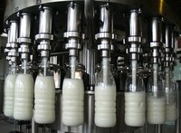 Plante aquatique minérale complètement automatique/machine d'embouteillage de l'eau pour l'eau pure et minérale
