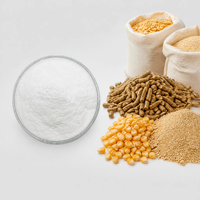 Additif alimentaire en poudre de vitamine B1 (thiamine) pour l'alimentation animale, volailles, porcs, ruminants, prémélange nutritionnel, fabrication chinoise.
