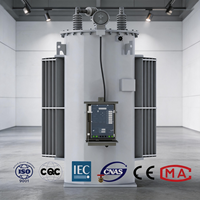 Régulateur de tension monophasé immergé dans l'huile, sans entretien, 14,4 kV, 1000 kVA, 32 étapes, extérieur