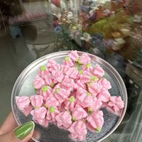 Manik-manik Tanah Liat Bunga Mahkota Hawaii Laris Manis, Aksesoris Perhiasan Kalung Anting Buatan Tangan DIY