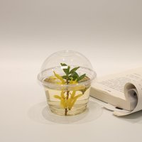 Популярные пластиковые экологичные одноразовые стаканчики для десертов и мороженого с крышками, 9 унций, 12 унций, с возможностью нанесения логотипа