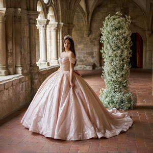 Vestido de Fiesta de Quinceañera Rosa Xy004 con Cuentas y Apliques de Encaje, Largo hasta el Suelo, Cola Capilla, Vestido de Gala 100% Poliéster - Product Image 1