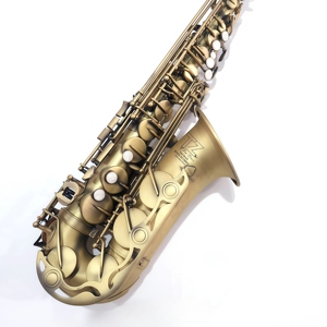อัลโตแซกโซโฟนทองเหลืองแบนโบราณสำหรับมืออาชีพอุปกรณ์กันลม - Product Image 6