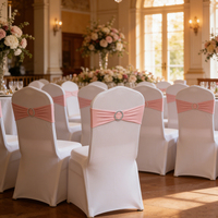 Groothandel Prachtige Stoelhoezen Strik Set Lage Minimum Bestelhoeveelheid Bloem Blauw Roze Bruiloft Decoratie Strik
